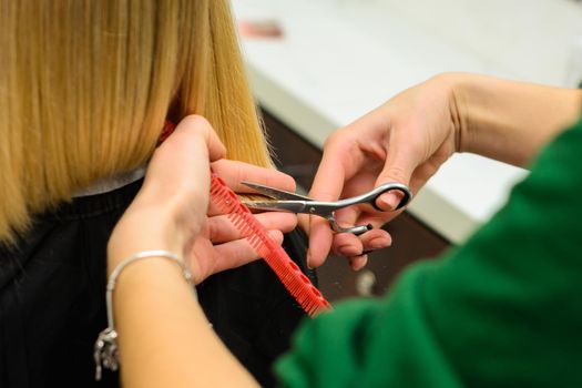 Hair care, hairdresser cuts the cut ends of hair and straightens the length, the work of hairdressers during the global coronavirus pandemic.new