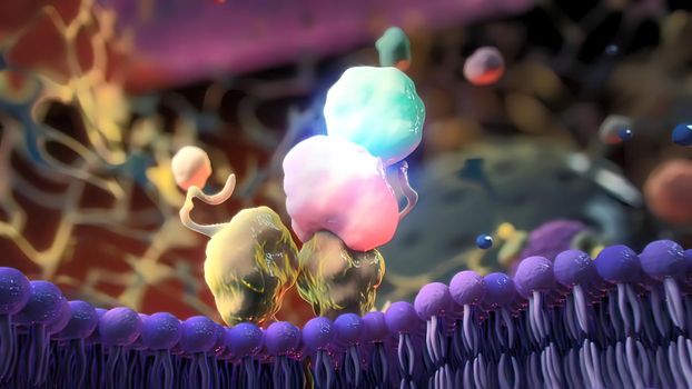 Ion channels in epithelial cells serve to move ions, and in some cases fluid, between compartments of the body. 3D illustration