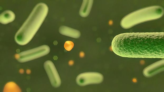 Microscopic visualization of bacteria hd illustration