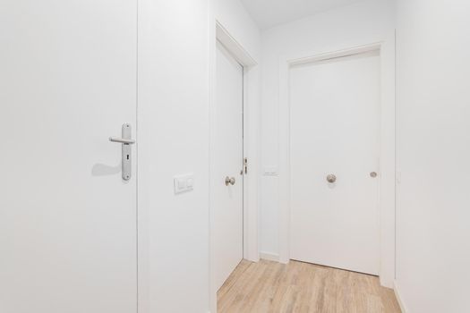Empty entrance with white wooden doors and wood flooring