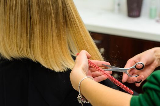 Hair care, hairdresser cuts the cut ends of hair and straightens the length, the work of hairdressers during the global coronavirus pandemic.new