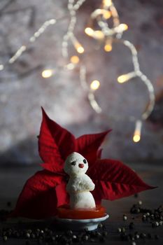 creative snowman canapes of mozzarella and tomatoes on a background of red poinsettia and a scattering of black pepper and green basil. High quality photo