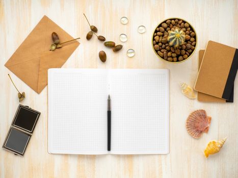 white open notepad, kraft envelope and cactus in pot lying on a beige wooden desk, flat lay, copyspace