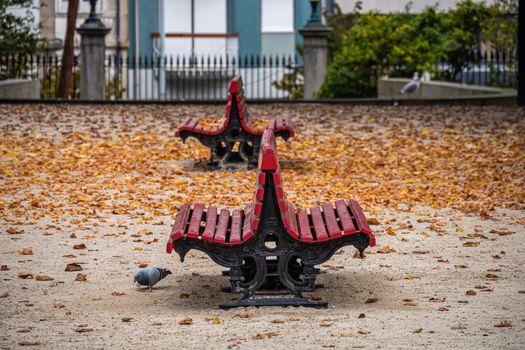 Empty old red bench in city autumn park with fallen leaves