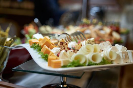 Plate cheese and salad appetizers are different kinds of cheese close-up