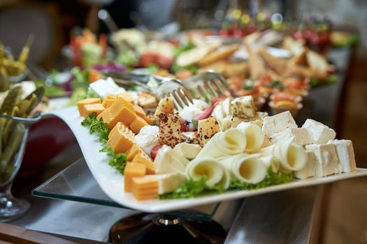 Plate cheese and salad appetizers are different kinds of cheese close-up