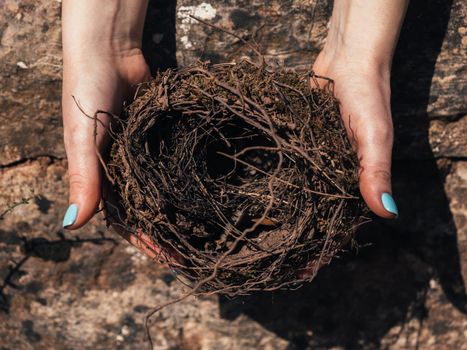 Female hands holding a fragile empty bird's nest, view from above. Concept of empty nest syndrome