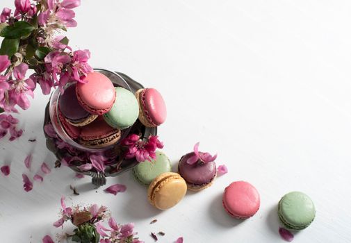 spring still life with colored macaroons and pink apple tree flowers in a pewter vase, colorful sweet food close up. High quality photo