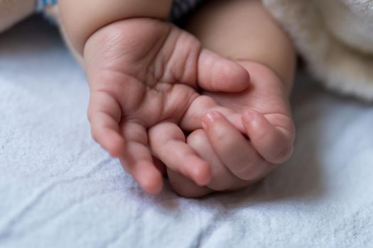 Childhood, care, motherhood, health concepts - Close up Little tiny hands palms of peace calm infant toddler baby girl sleep resting take deep nap laying hug teddy bear toy on soft warm blanket.