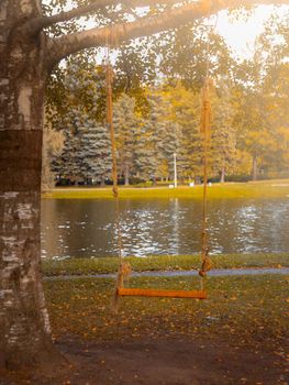 homemade swing from a Board and rope on a tree in a Park or garden, nobody, empty space, autumn background.