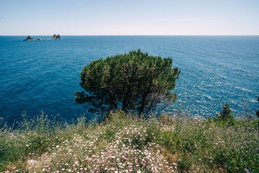 Islands and mountains in Montenegro Bar High quality photo