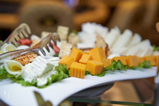 Plate cheese and salad appetizers are different kinds of cheese close-up