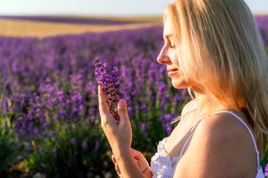 Beautiful blonde is in the field of lavender, holds a bouquet of flowers and enjoys aromatherapy. The girl's eyes are closed. The concept of aromatherapy, lavender oil, photo shoot in lavender