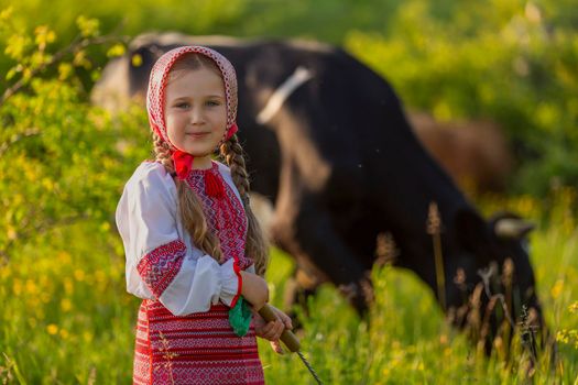 child grazing cows on the lawn