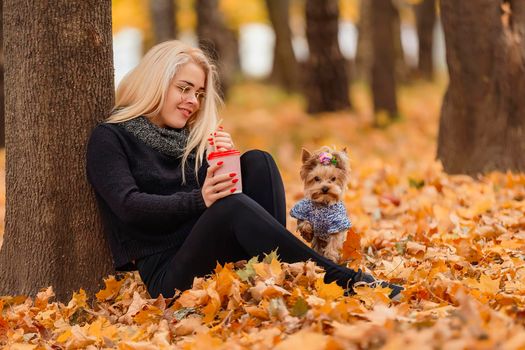 girl with a dog breed Yorkshire terrier in the autumn park