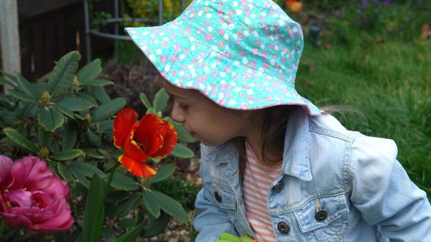 Happy Preschool little girl kid Daughter wear works gloves humic boots smelling scent of flowers tulips in garden. Helping mother ouside Nature gardering planting environmental Spring Summer concept