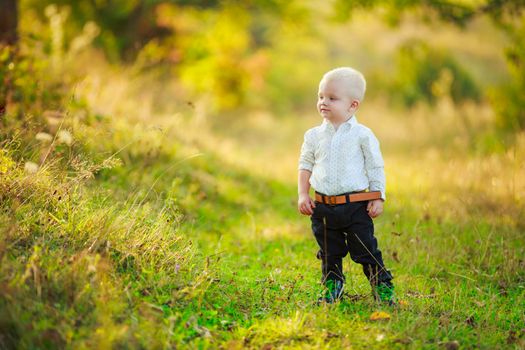 little boy walking in the park