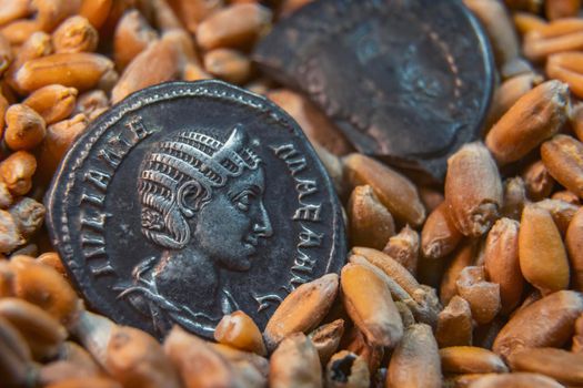 old coins lie on the grain close-up