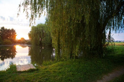 gorgeous sunset on a small fishing lake.