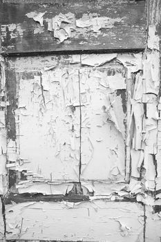 Very old wooden door with cracked paint, black and white.