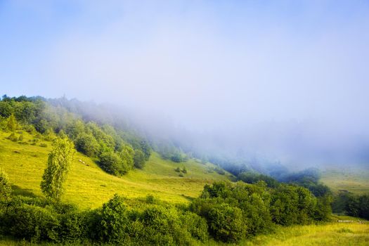 morning landscape with fog Carpathian Mountains in Ukraine.