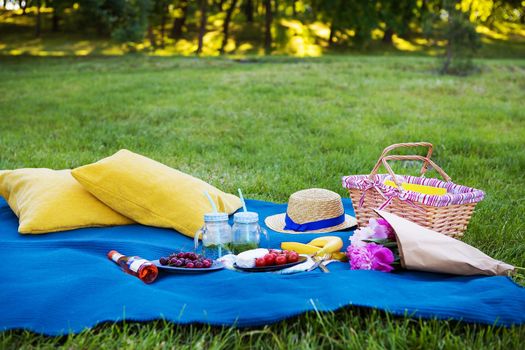 Bright summer picnic on nature-summer, sun, happiness