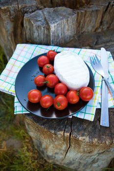 Picnic on nature - a plate with cheese and tomatoes on a napkin stands on a wooden stump