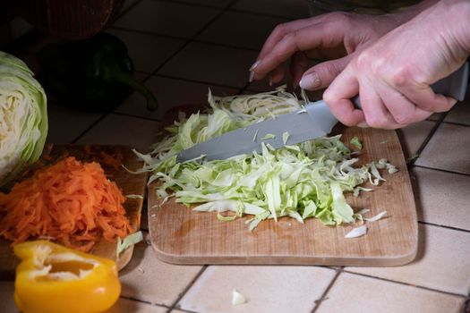 a woman cuts cabbage in the kitchen against the background of fresh vegetables, ingredients for step by step cooking soup. High quality photo