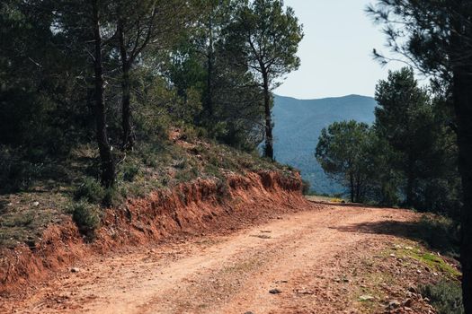 Road with turn in forest with view to the mountains of Catalunia.