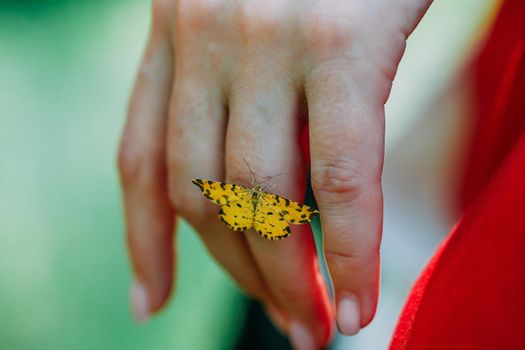a close-up of a butterfly perched on the fingers of a priestess. mystical pagan rite. pagans today