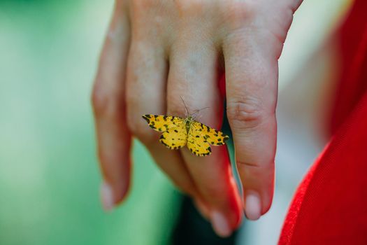 a close-up of a butterfly perched on the fingers of a priestess. mystical pagan rite. pagans today