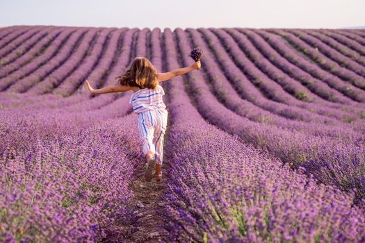 Among the lavender fields. A beautiful girl runs against the background of a large lavender field.