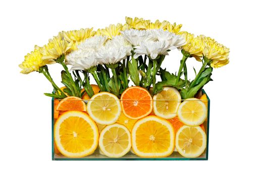 A bouquet of white and yellow chrysanthemums in a glass transparent aquarium with orange and lemon slices. The image is isolated on a white background.