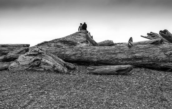 Couple enjoys a seaside view from driftwood on Rialto Beach Washington