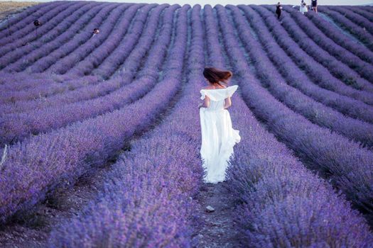 Among the lavender fields. A beautiful girl runs against the background of a large lavender field.
