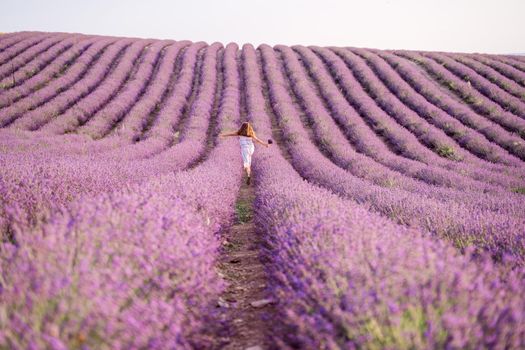 Among the lavender fields. A beautiful girl runs against the background of a large lavender field.