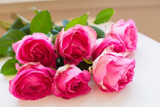 beautiful pink rose lie on white table, close-up