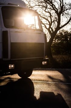 Trusk drives along a country road with a crooked bare tree in the background.