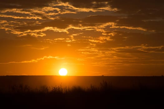 beautiful golden sunset in a cloudy sky over a field