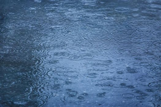 rain drops falling in pool on asphalt