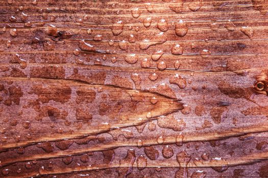 Water Drops on Wooden Board closeup