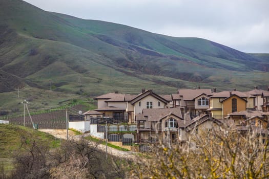 Cottage village in the valley near the mountain in spring