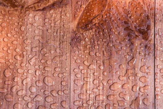 Water Drops on Wooden Board closeup