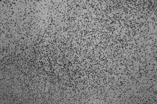 Abstract small gray spots on white paper. Background