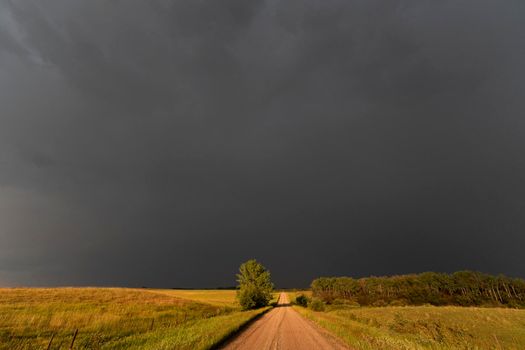 Prairie Storm Canada in Saskatchewan Summer Clouds