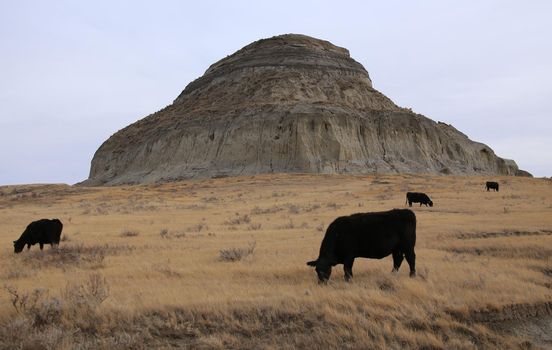 Badlands Saskatchewan Prairie Big Muddy Castle Butte