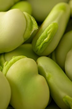 Fresh and raw green broad beans. Closeup.