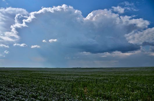 Prairie Storm Canada in Saskatchewan Summer Clouds