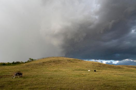 Prairie Storm Canada Summer time clouds warning