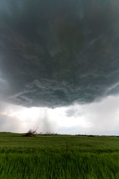 Prairie Storm Canada in Saskatchewan Summer Clouds